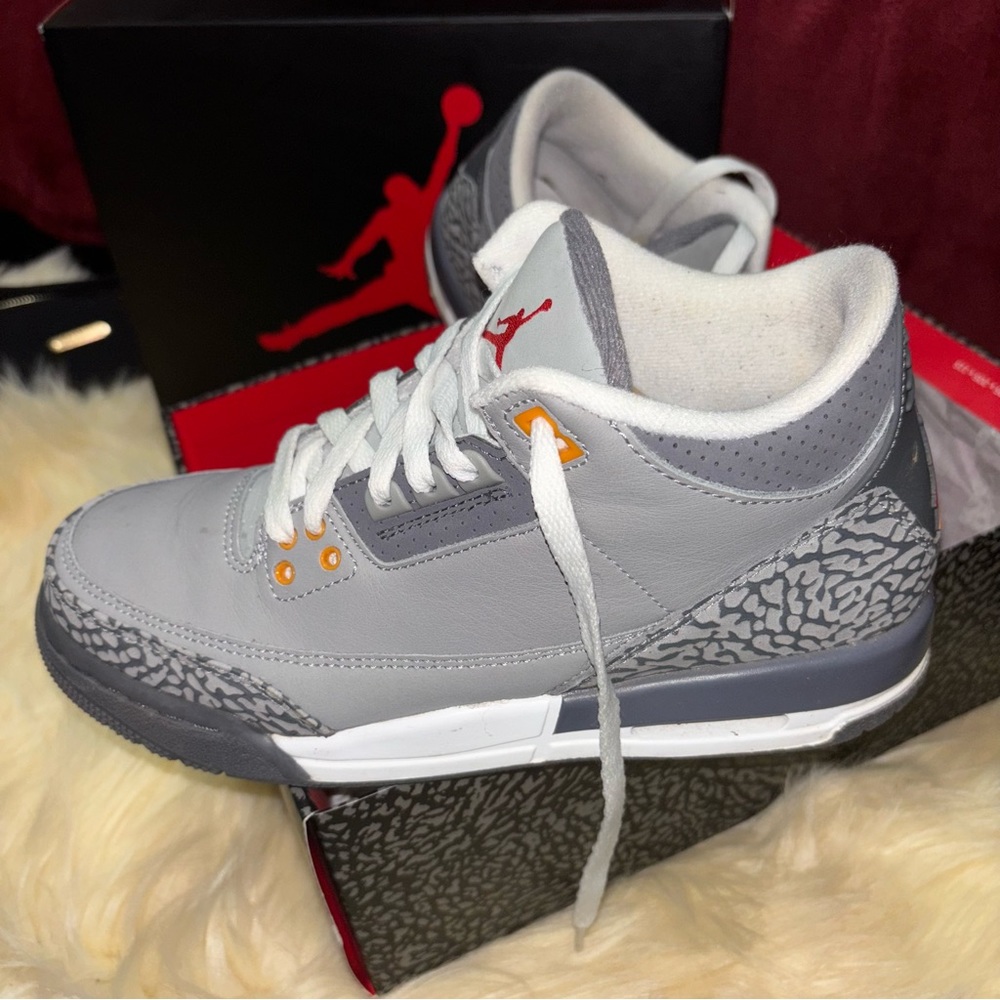 Cool Grey 3s